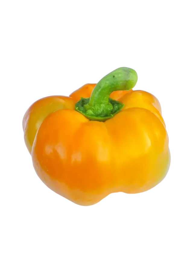 Vitale Rassen Paprika Tamiro zaden geel buiten