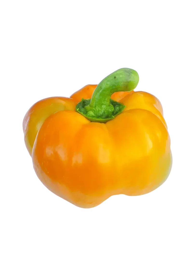 Vitale Rassen Paprika Tamiro zaden geel buiten