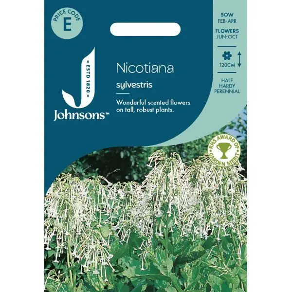 World Botanics Nicotiana sylvestris zaden wit 120cm