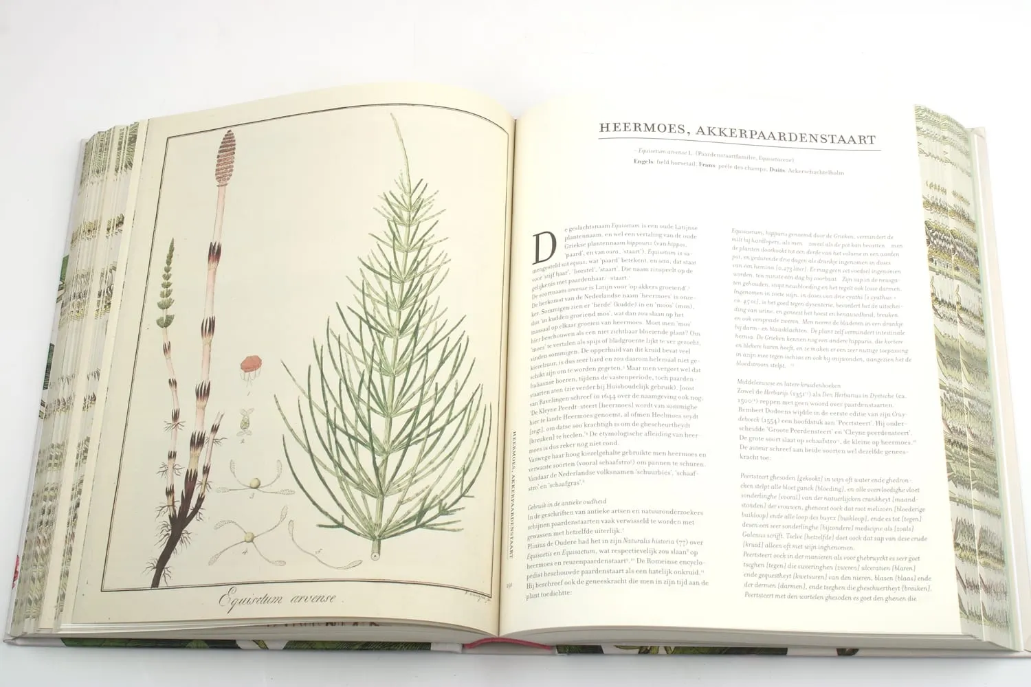 De Tuinen van MergenMetz Historia Naturalis boek kruiden 700 pagina’s