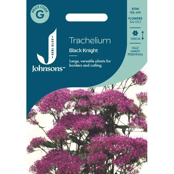 World Botanics Black Knight trachelium zaden paars