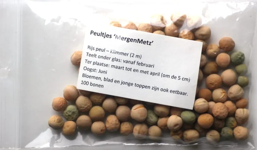 De Tuinen van MergenMetz Zwitserse Reuzen peultjeszaden ca. 100 stuks