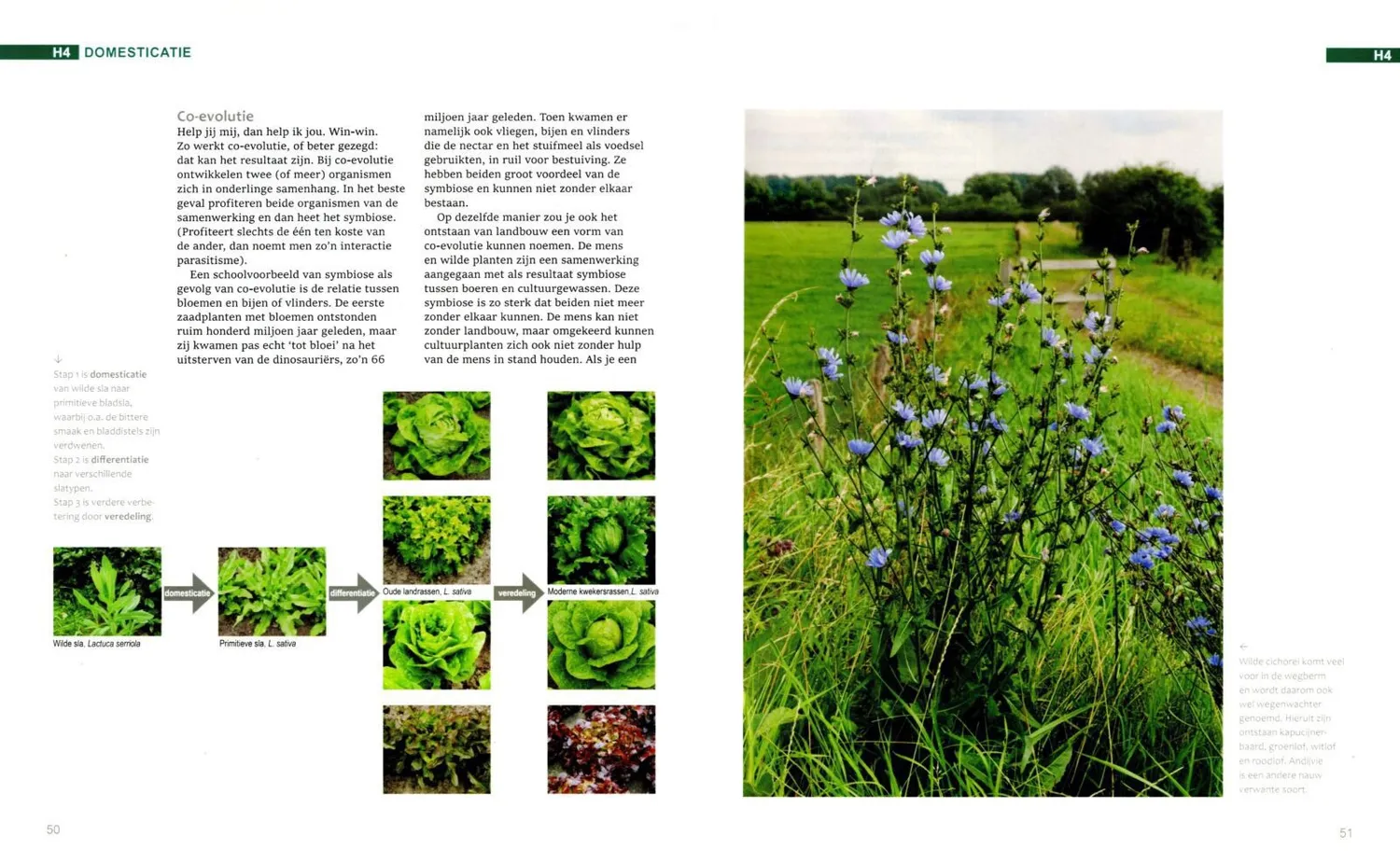 De Tuinen van MergenMetz Groenten boek Jan Velema 600 pagina's