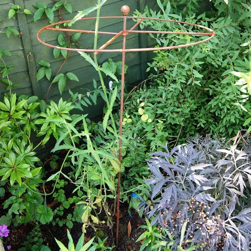 World Botanics Circle plantensteunen roest 5 stuks 81 cm