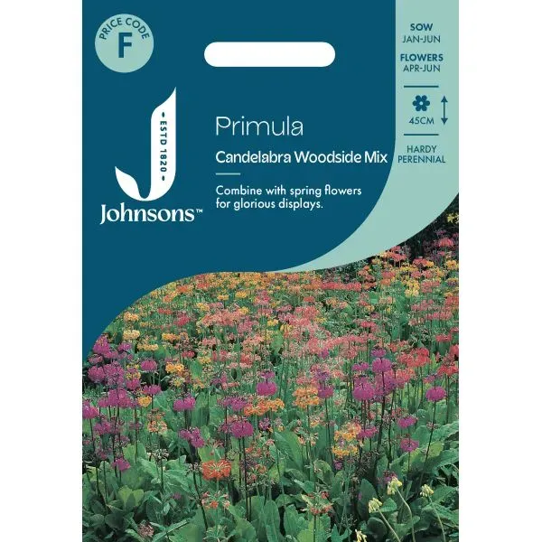Primula Candelabra Woodside Mix bloemzaden vaste plant