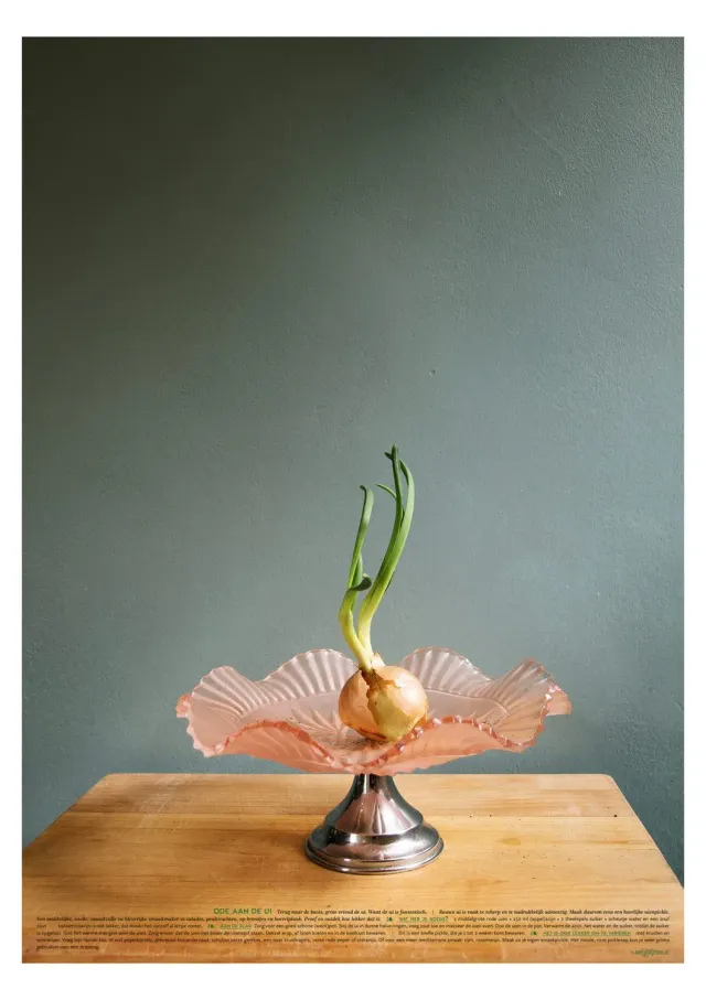 Meet Your Greens Venus uienprint 48x68 cm groenteportret