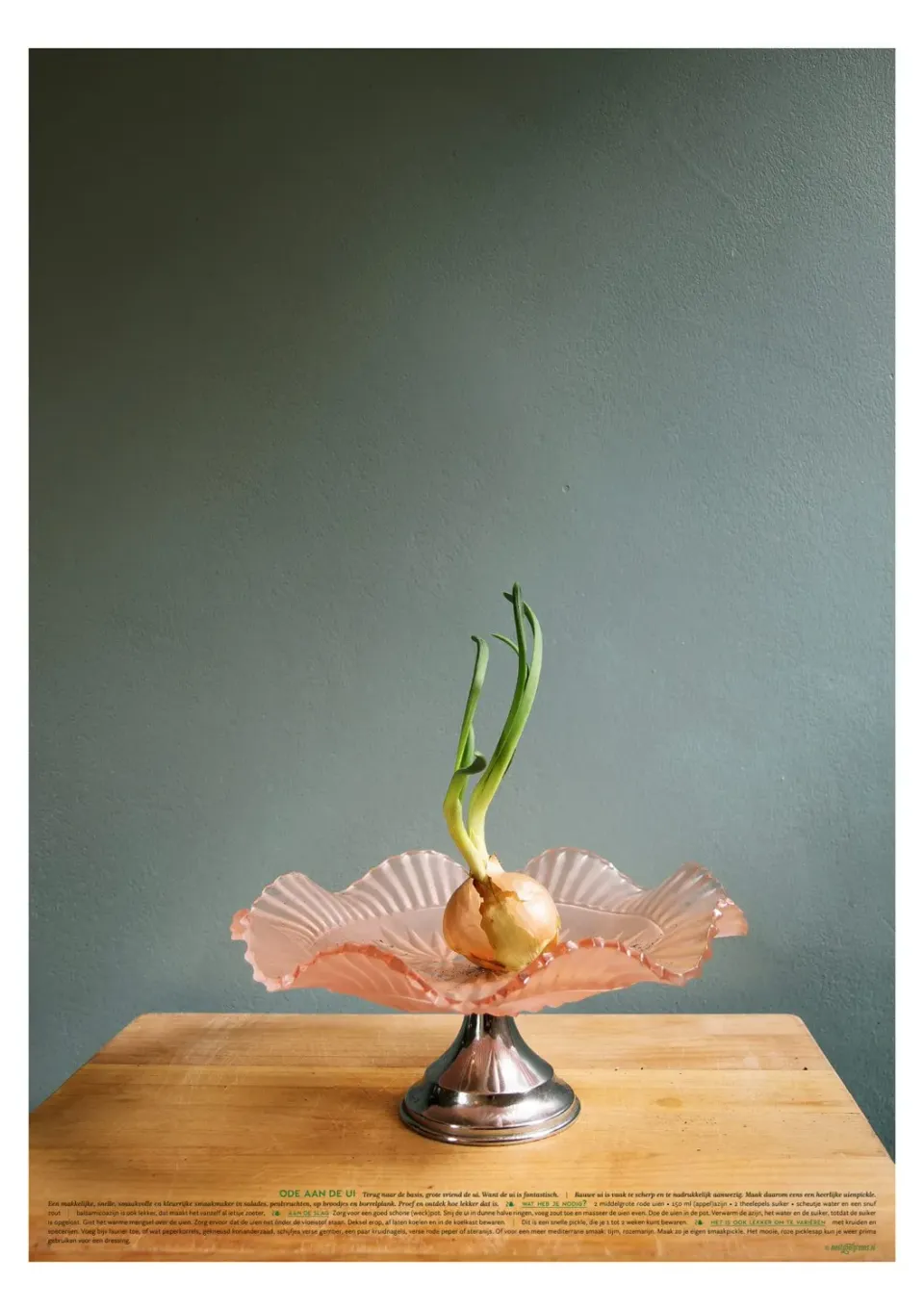 Meet Your Greens Venus uienprint 48x68 cm groenteportret