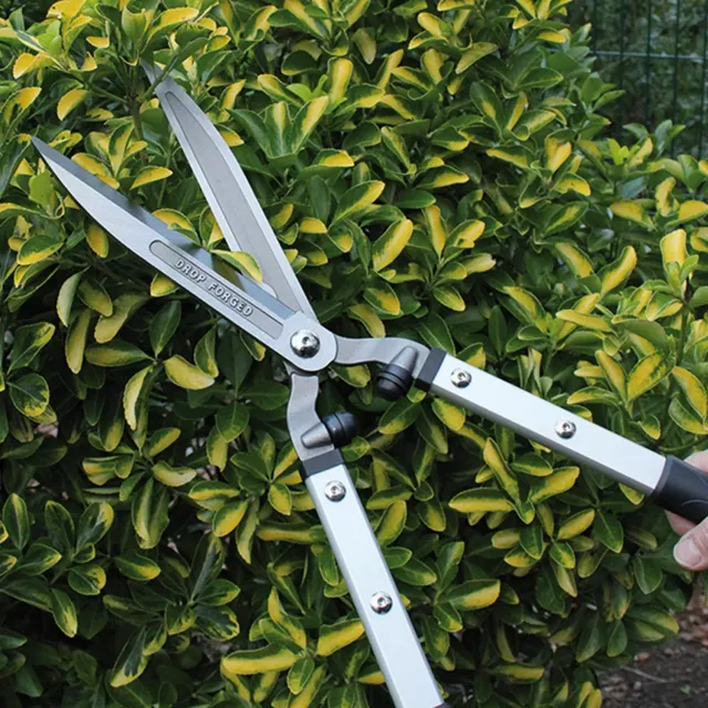 Darlac Expert Drop Forged heggenschaar 23 cm gesmeed