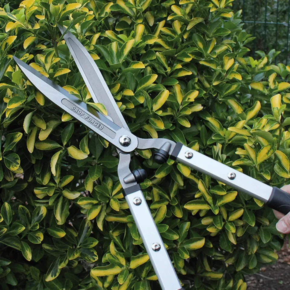 Darlac Expert Drop Forged heggenschaar 23 cm gesmeed