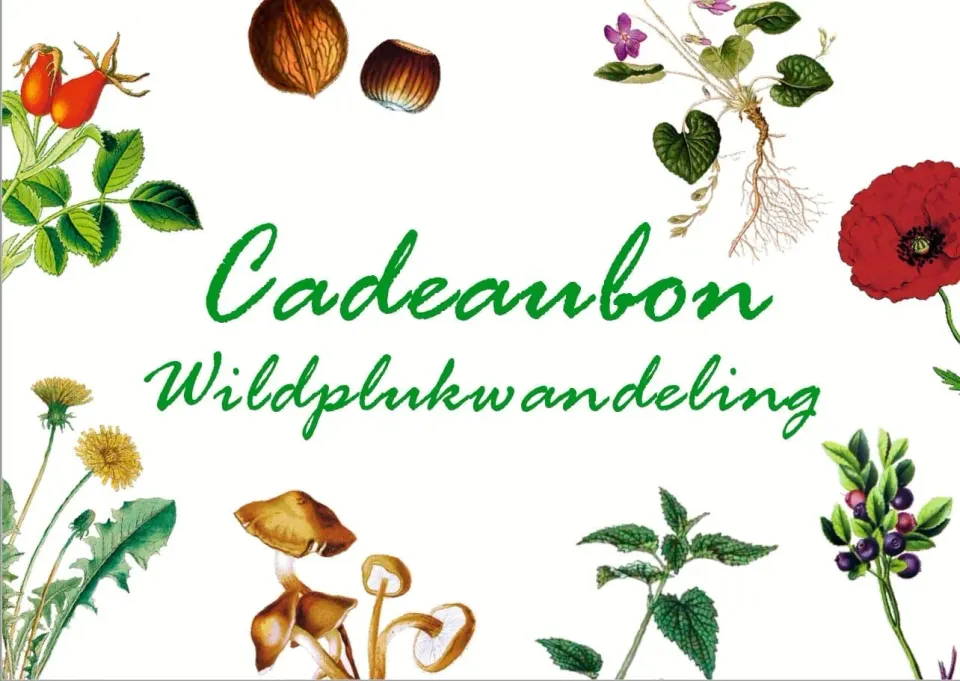 De Tuinen van MergenMetz wildplukwandeling cadeaubon Elsje Bruijnesteijn