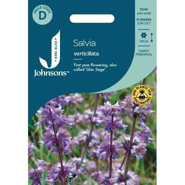 World Botanics Salvia Verticillata bloemzaden paars