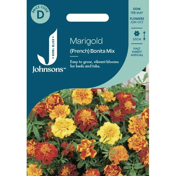 World Botanics Bonita Mixed afrikaantjes zaden oranje geel