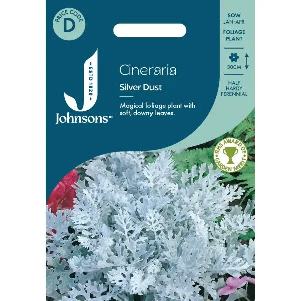 World Botanics Silver Dust cineraria bloemzaden zilverblad