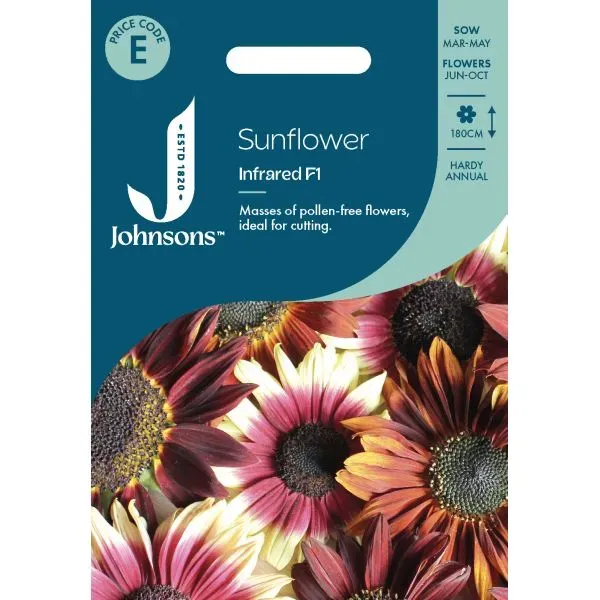 World Botanics Sunflower Infrared F1 bloemzaden rood