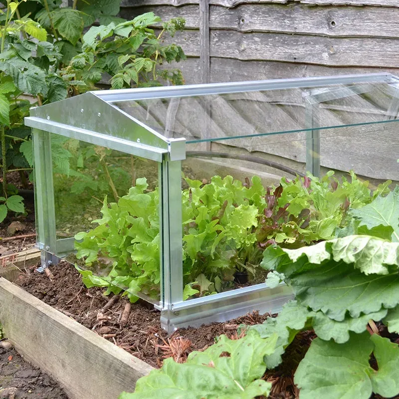 World Botanics Garden Cloche kweekkas glas 79 cm