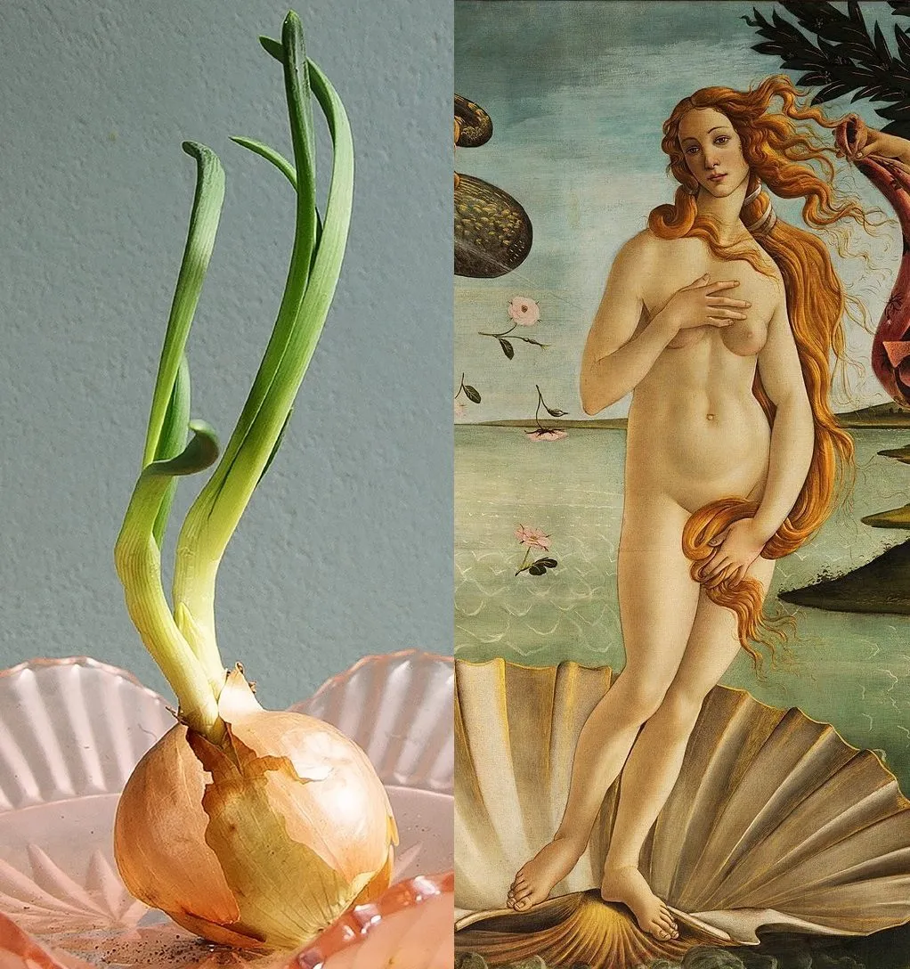 Meet Your Greens Venus uienprint 48x68 cm groenteportret