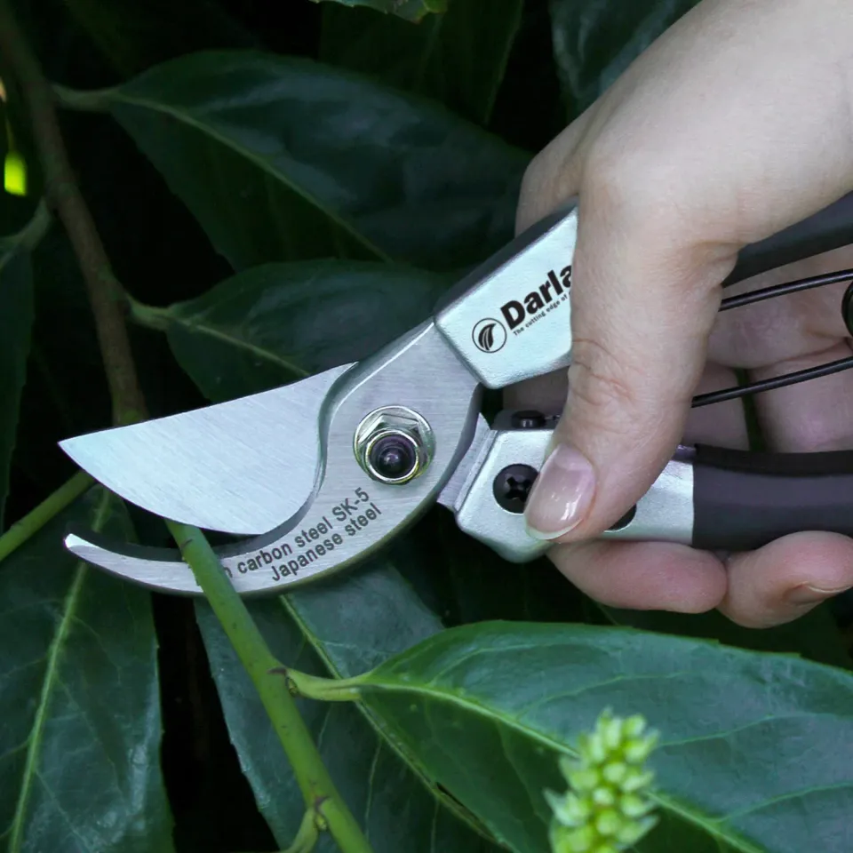 Darlac Compact snoeischaar 16 mm