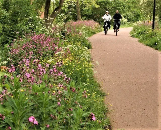 MediGran Schaduwflora HV-48 bloemenmengsel schaduw vochtig