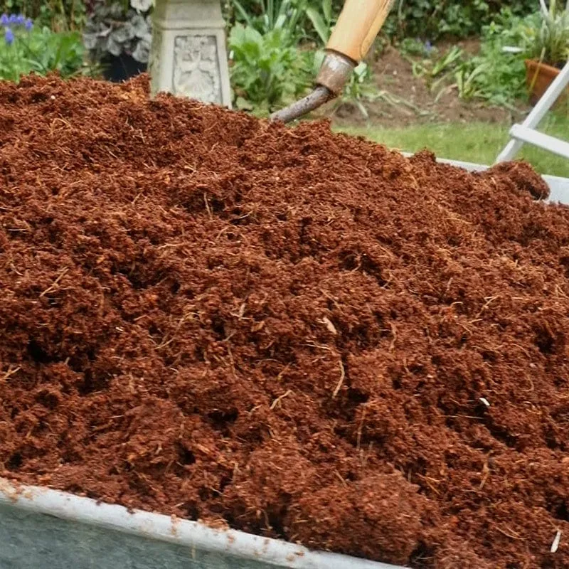 World Botanics Coco Grow kokos potgrond turfvrij