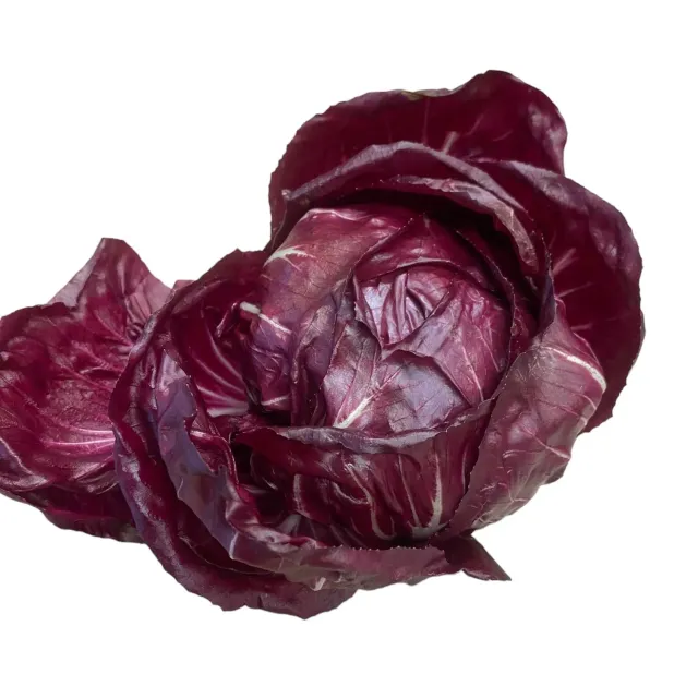 Vitale Rassen Radicchio Red Ball Averto zaden