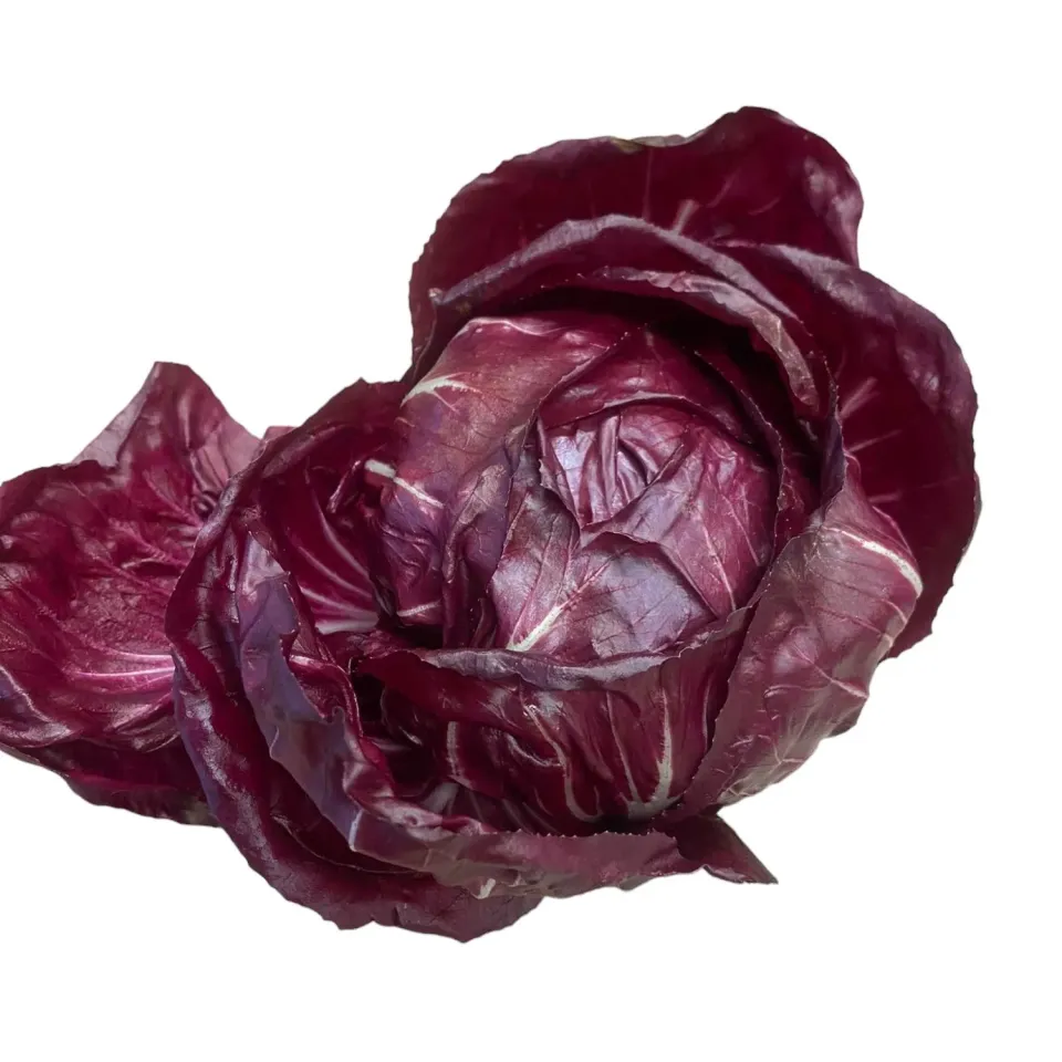Vitale Rassen Radicchio Red Ball Averto zaden