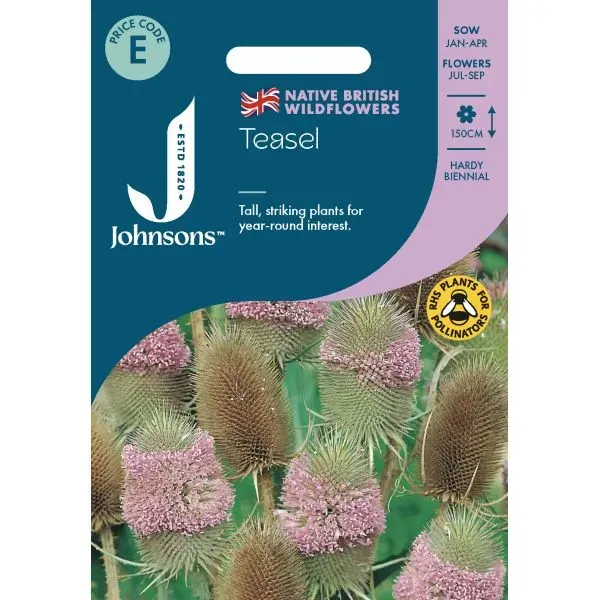 World Botanics Teasel kaardebol bloemzaden onbespoten tweejarig