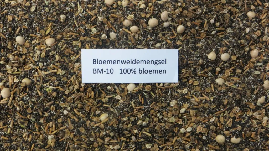 MediGran BM-10 bloemenweidemengsel zaden 40 cm