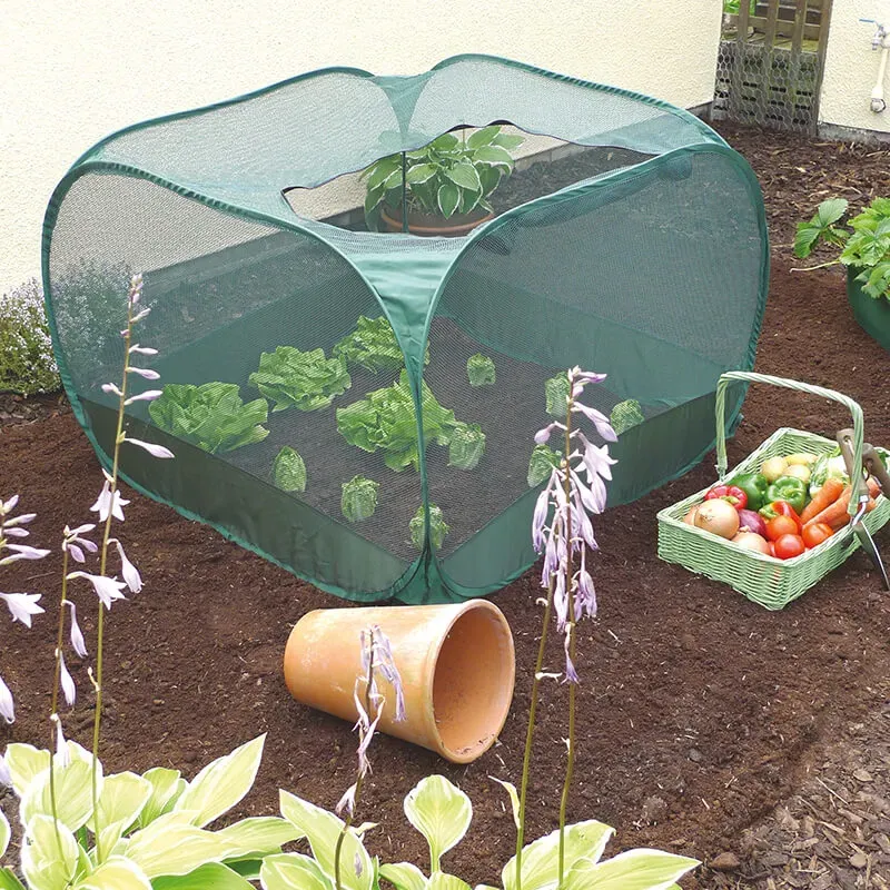 World Botanics Pop-Up Vegetable Cage groentekooi 125 cm