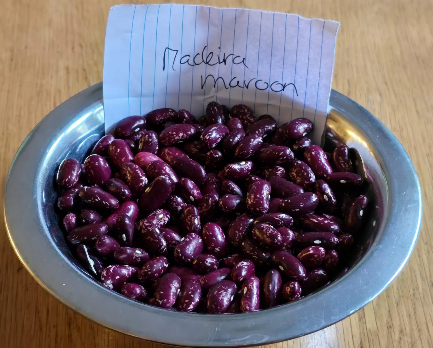De Tuinen van MergenMetz Madeira Maroon stokboonzaad 15 zeldzaam