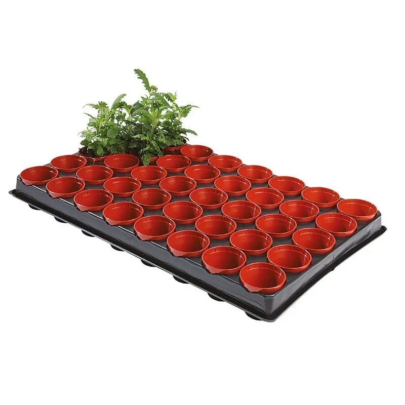 World Botanics Seed Cutting Propagation Tray zaaitray 40 vakken