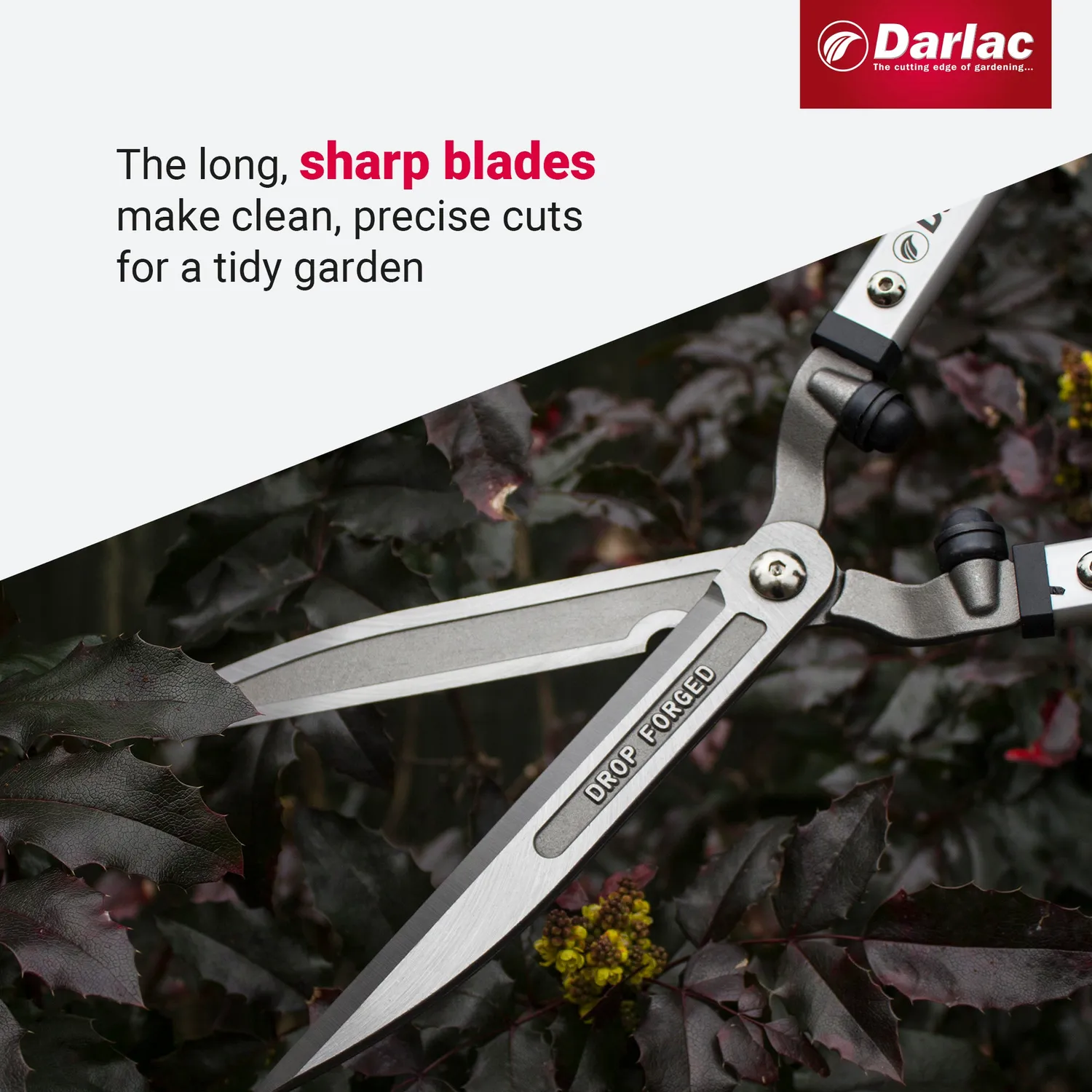 Darlac Expert Drop Forged heggenschaar 23 cm gesmeed