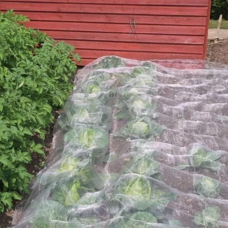 World Botanics Veggiemesh insectengaas 1,8 x 5 m