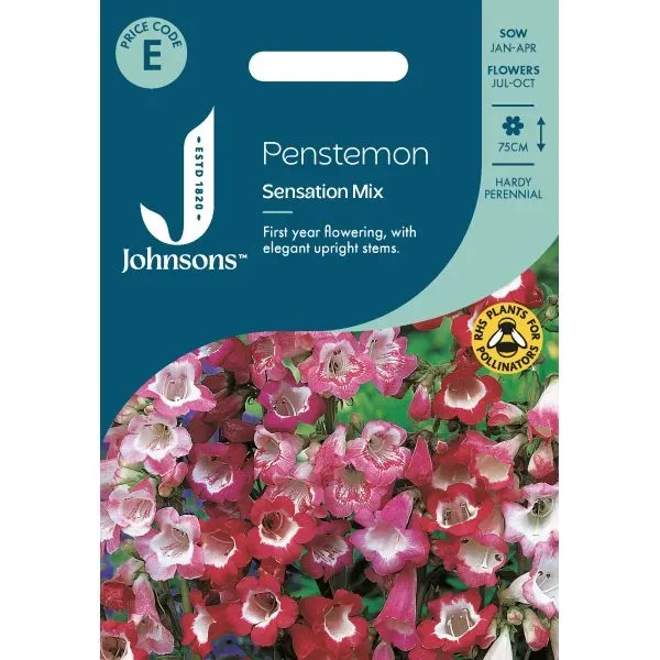 World Botanics Penstemon Sensation Mix zaden gemengd
