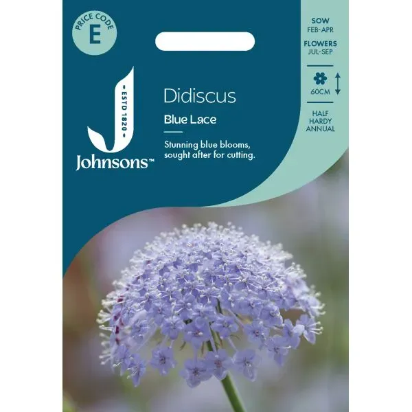 World Botanics Didiscus Blue Lace zaden lichtblauw eenjarig