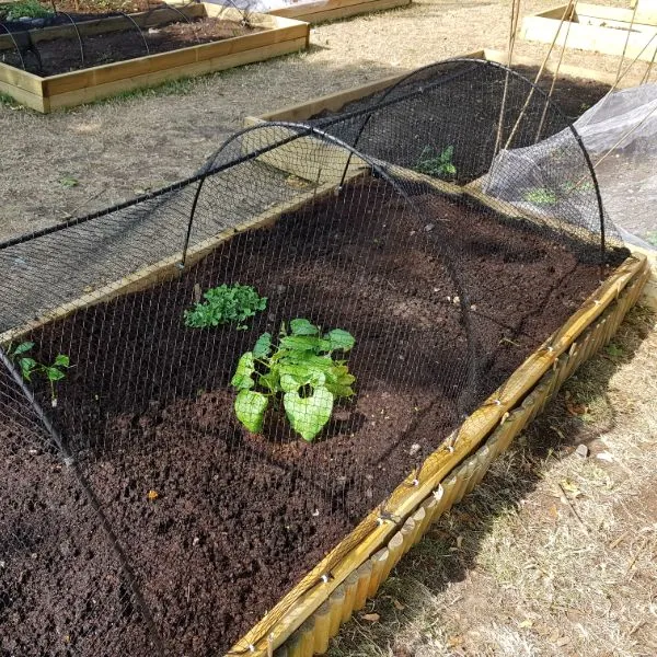 World Botanics vogelnet tuin 1 net 2 x 10 m zwart