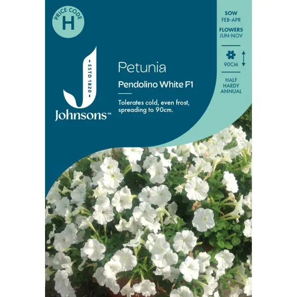 World Botanics Petunia Pendolino White F1 bloemzaden wit