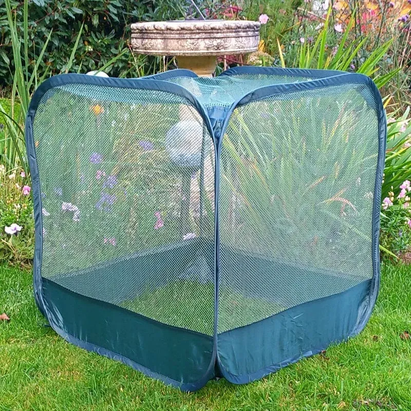 World Botanics Mini Pop-Up Net Cube gaaskooi 50 cm
