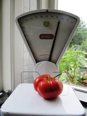 De Tuinen van MergenMetz Mortgage Lifter tomatenzaden 15 zaden saus
