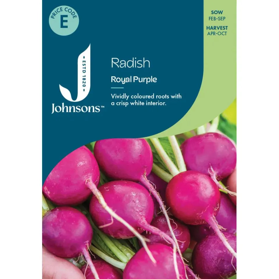 World Botanics Royal Purple radijs zaden paars snelgroeiend