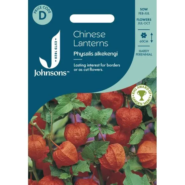 World Botanics Physalis lampionbloem zaden oranje