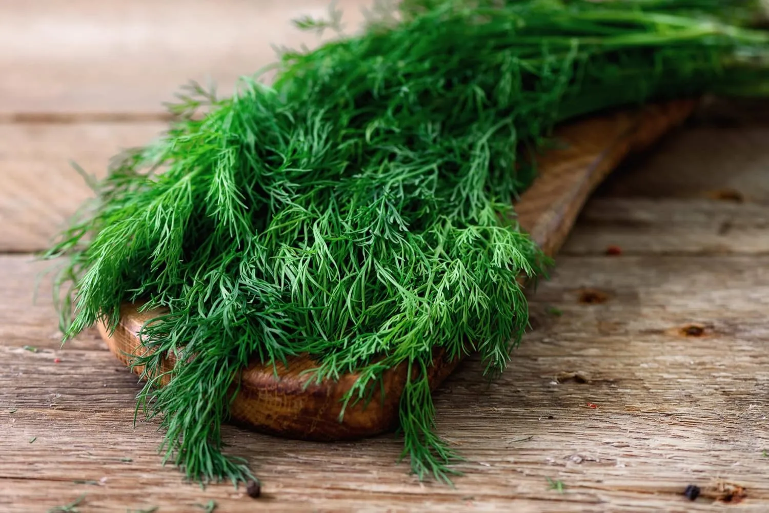 Herbal Age Premium Dill dillezaden 1800 zaden geurig