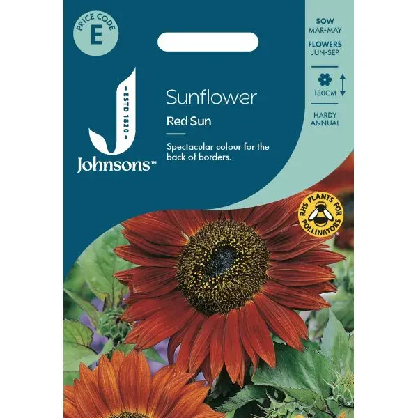 World Botanics Zonnebloem Red Sun zaden rood
