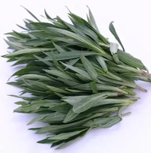 De Tuinen van MergenMetz Blaassilene zaden ca. 300 stuks wild