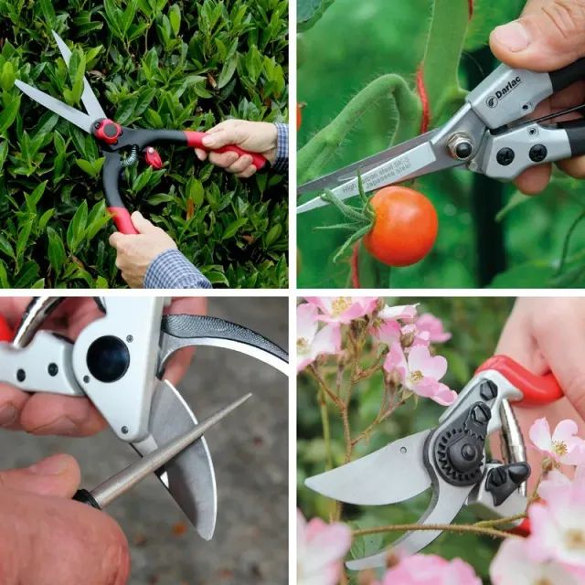World Botanics Darlac Cutting Tools snoeiset 4-delig