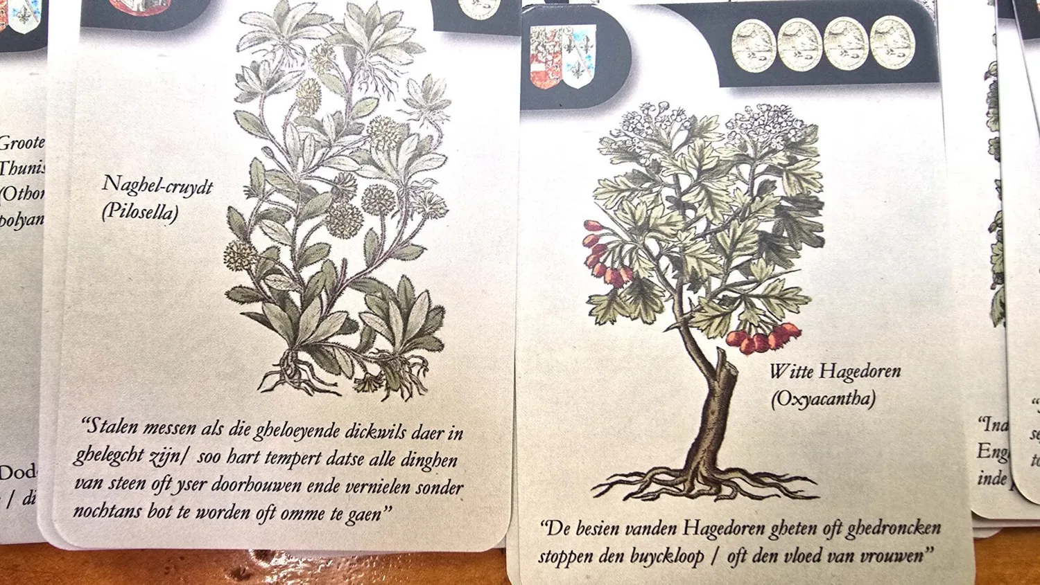De Tuinen van MergenMetz Lobelius kaartspel plantenliefhebber