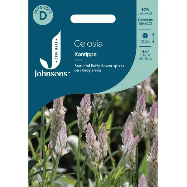 World Botanics Celosia Xantippe bloemzaden pluim