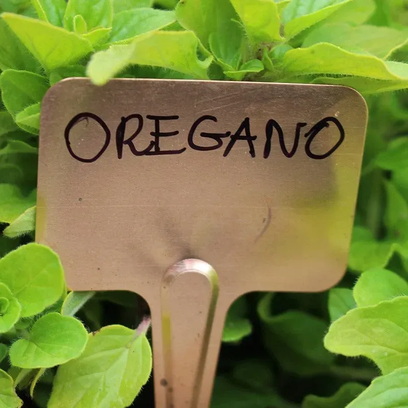 World Botanics Copper T plantenlabels koper 40 stuks