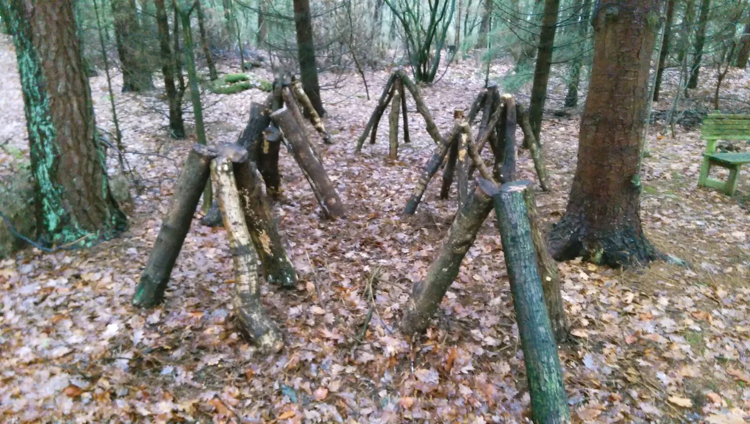 De Tuinen van MergenMetz Shiitake-stam familie 50cm kweek