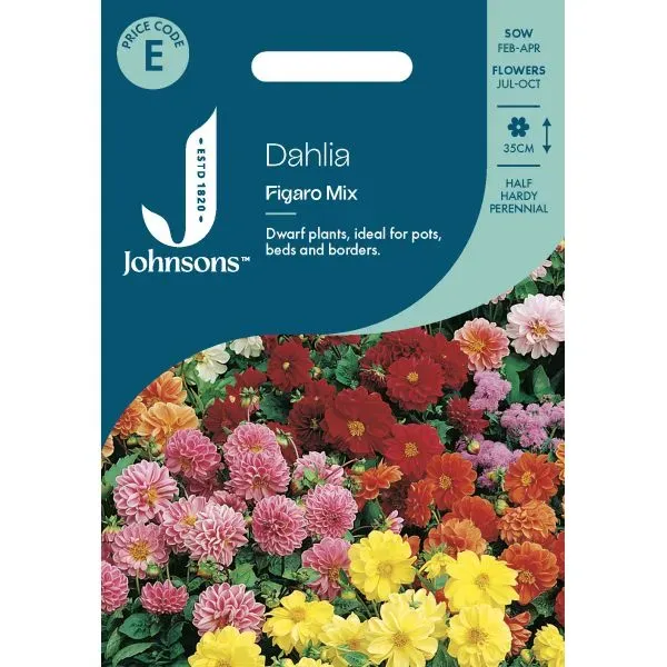 World Botanics Dahlia Figaro Mix zaden compact