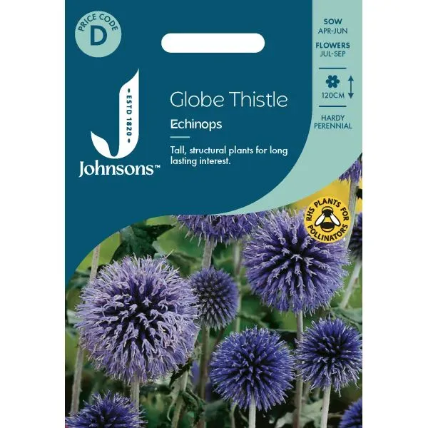 World Botanics kogeldistel Echinops zaden blauw 120 cm